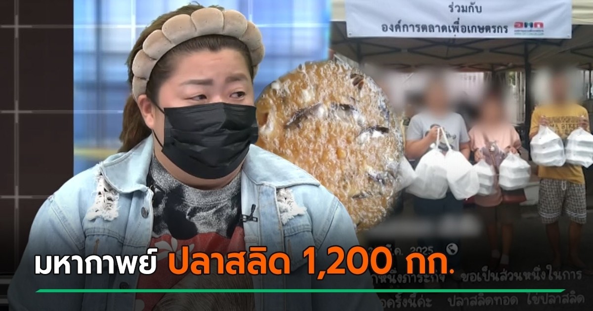 ที่ดิน 8 ไร่ กลายเป็นป่าไม้ถาวรเฉย? แม่ค้าปลาสลิดสู้จนชนะคดี หลังถูกเจ้าหน้าที่รัฐเรียกเก็บเงิน