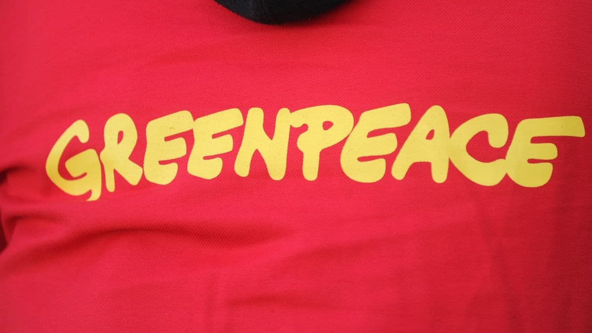 Greenpeace menacée de ruine par une condamnation record
