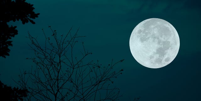 December's Cold Supermoon: A Celestial Finale to 2025