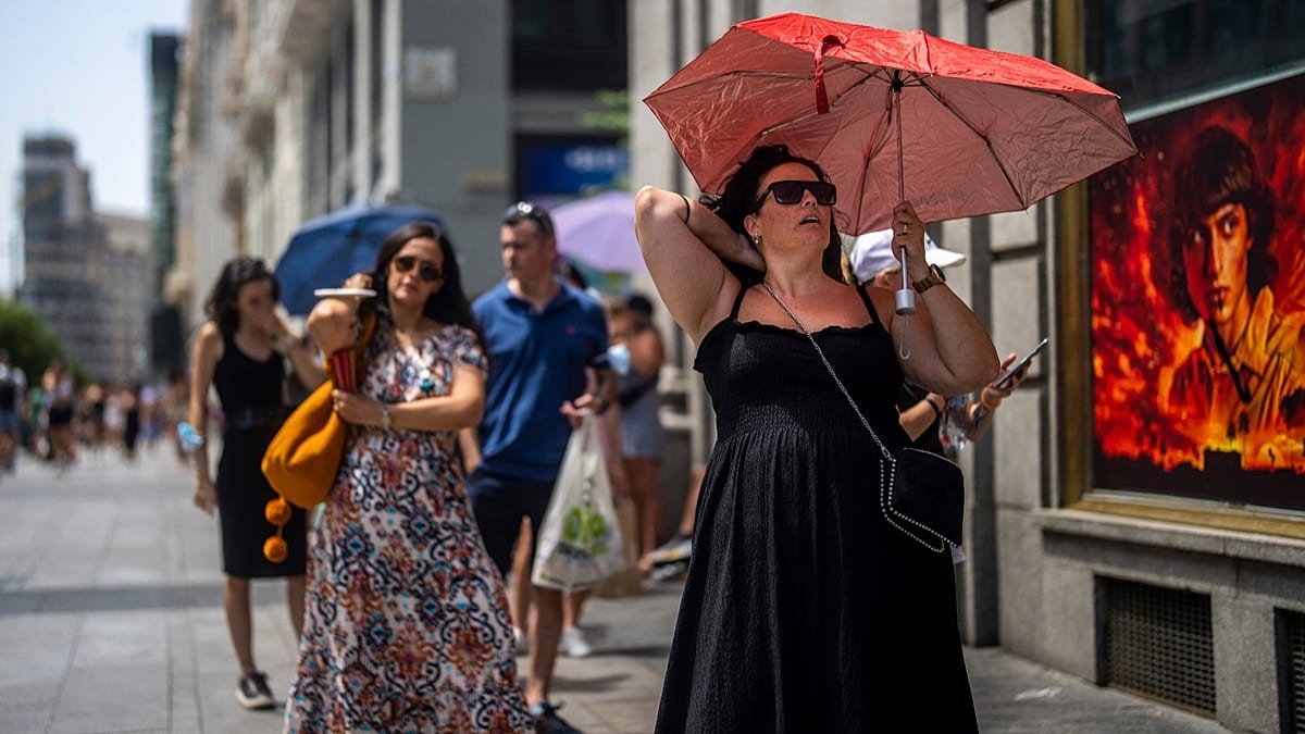 Canicule en Europe : la terre brûle, le Nord doit payer
