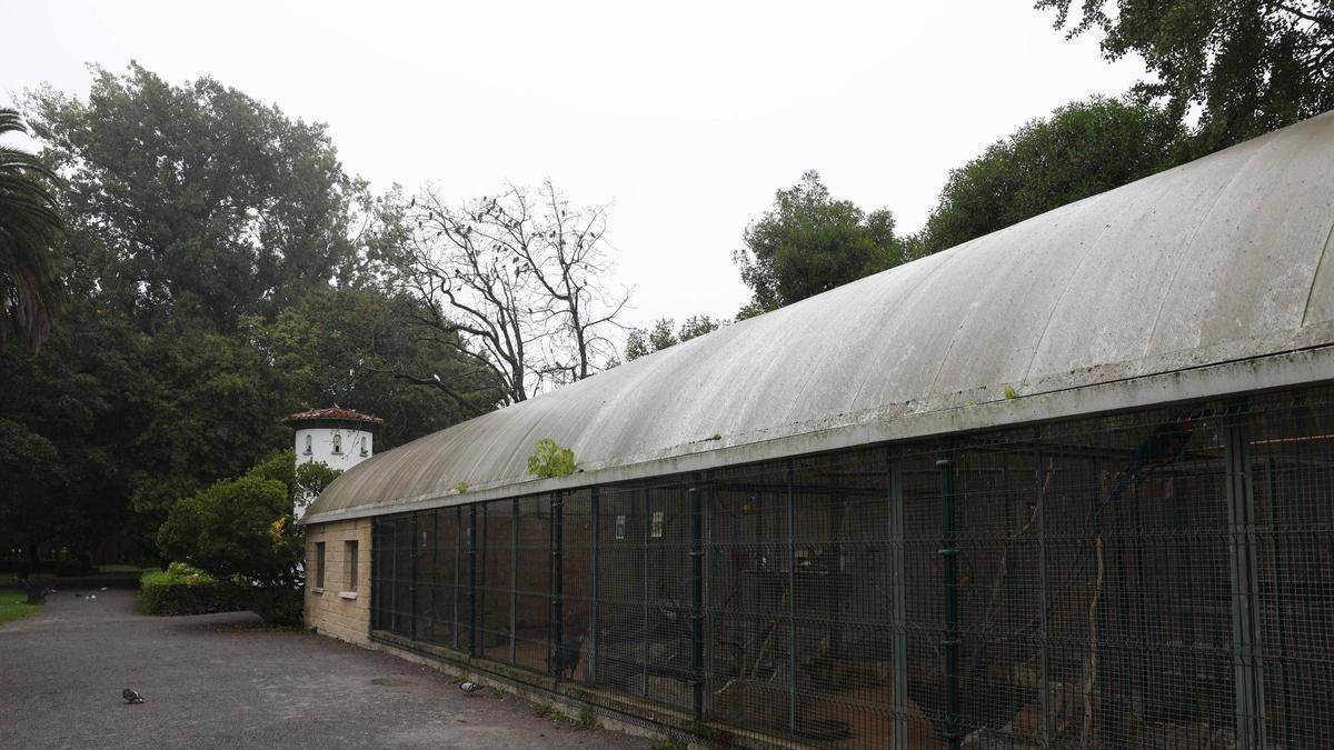 El parque Isabel La Católica de Gijón: árboles viejos, perros sin espacio y una pajarera que renace