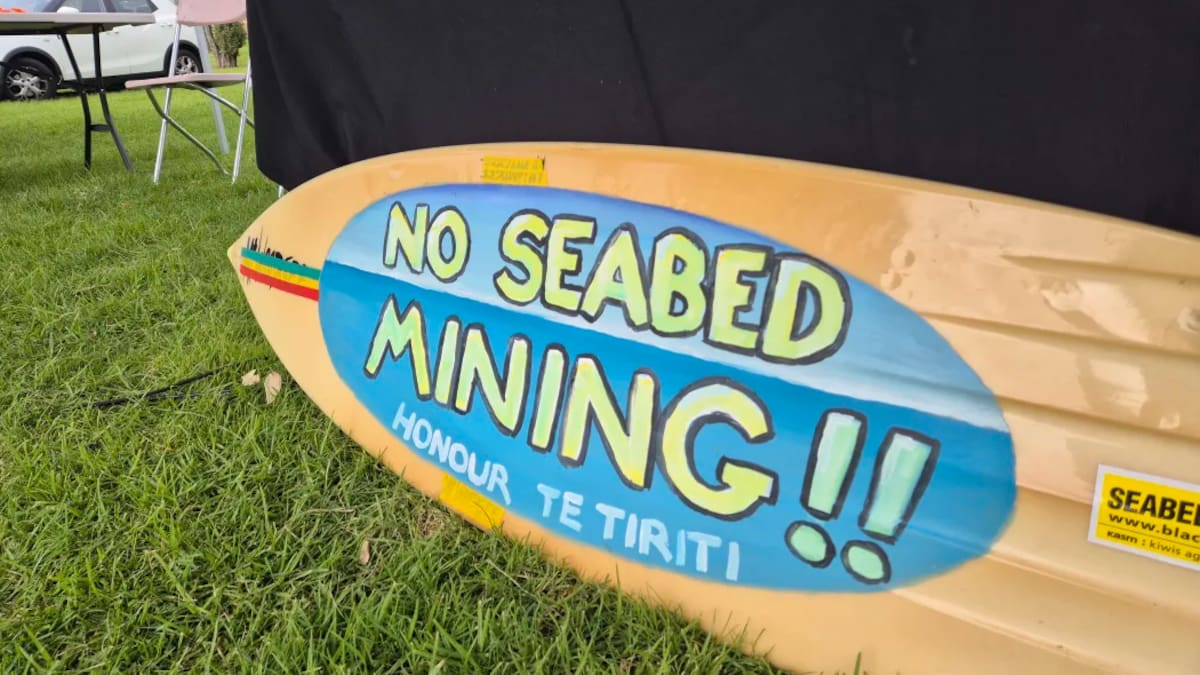 Taranaki Seabed Mining Rejection Sparks Economic Debate