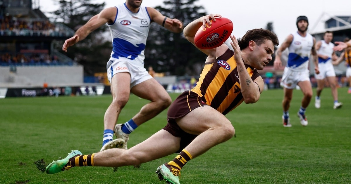 Hawks' Mitchell: Watson mastering footy's toughest role
