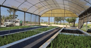 محطة بحوث الصحراء المصرية نموذج ملهم للتنمية الزراعية المستدامة