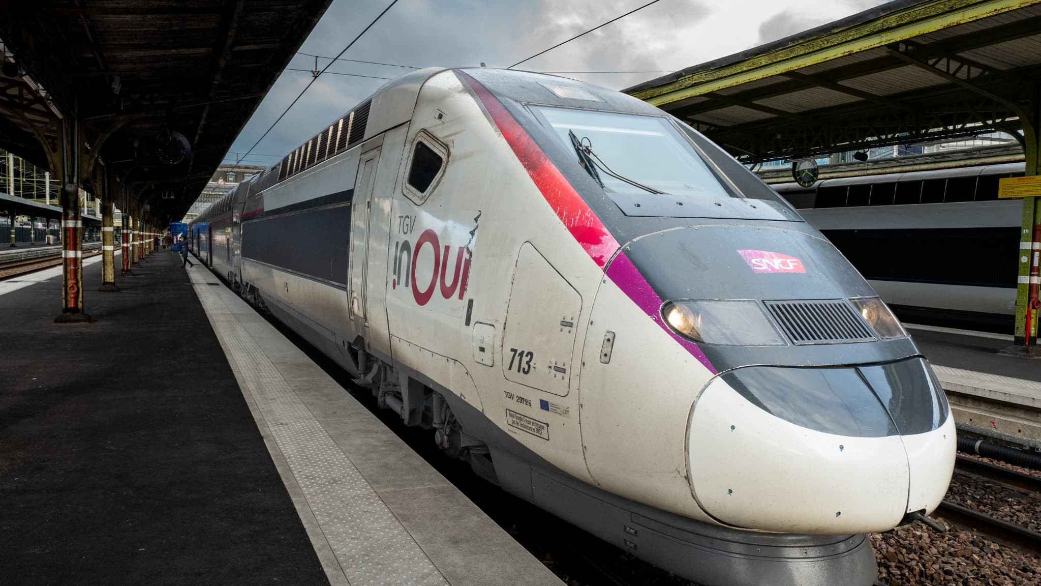 Chat tué par un TGV : la SNCF, la machine et l'indifférence