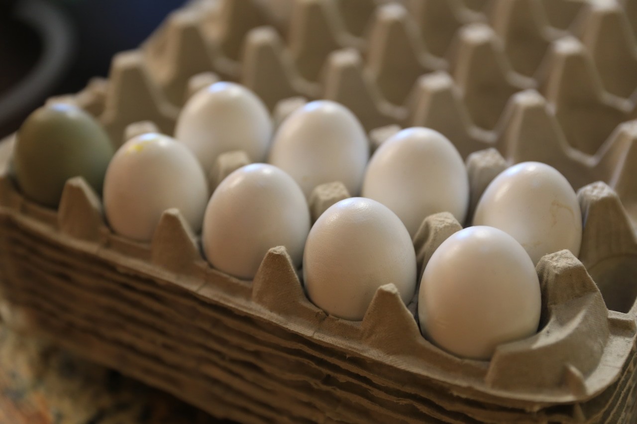 Big Egg Producers Settle Price-Fixing Probe for $3.3M
