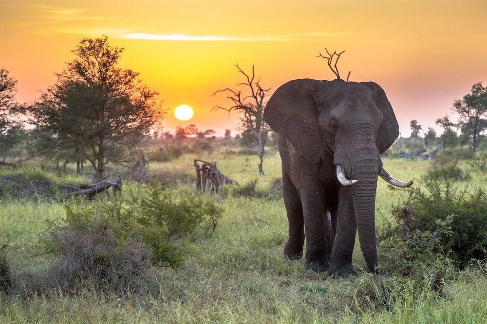 Black businesses are the real engine of South Africa's tourism economy