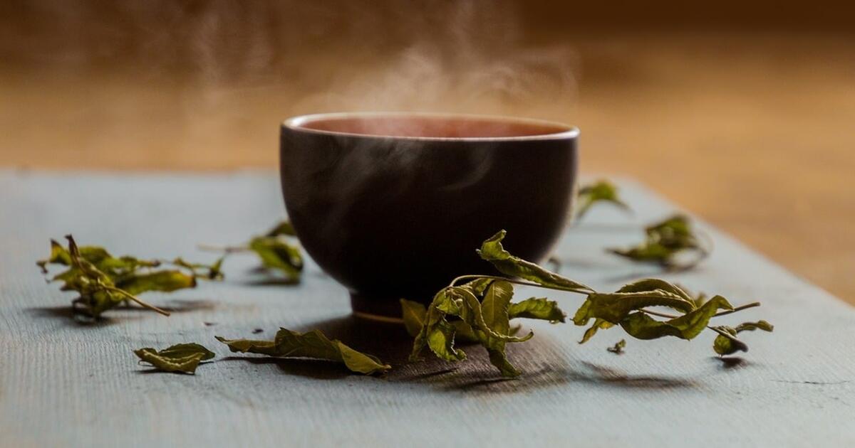 Sencha-Tee: Nachhaltige Gesundheit aus fairem Anbau