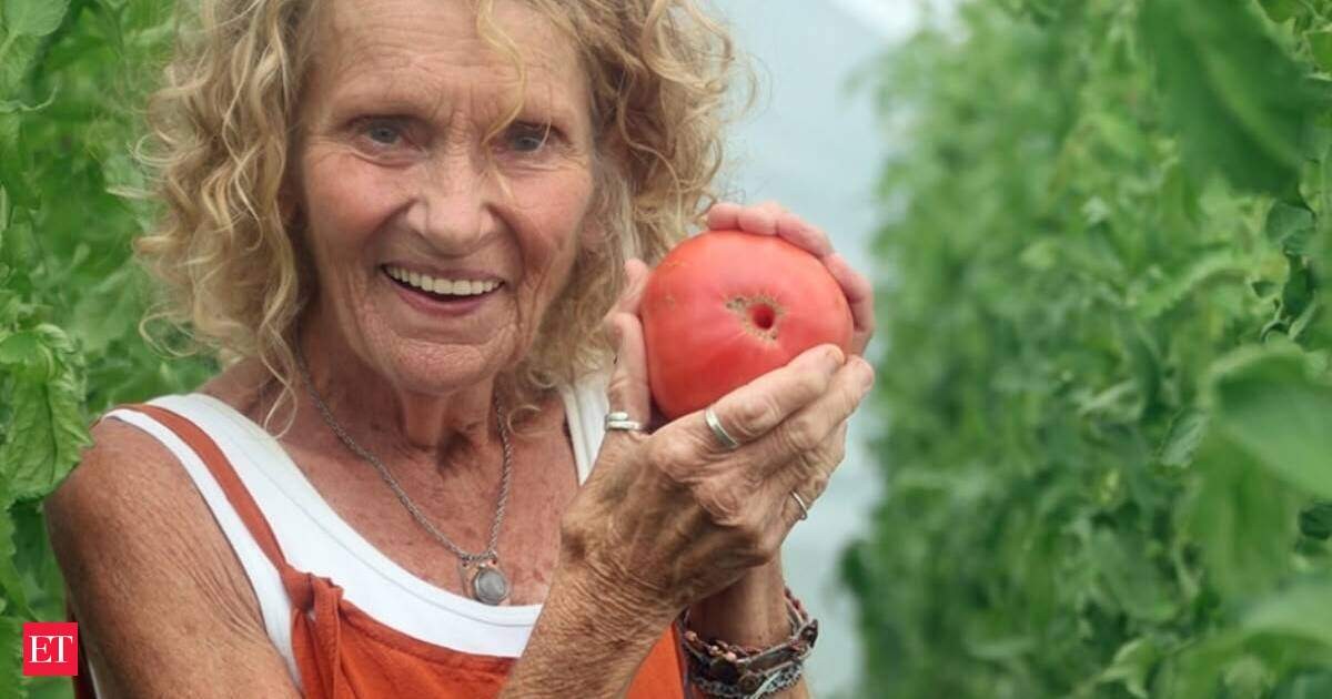 Virginia Teacher's 4 Tomato Seeds Become Iowa's Newest Heirloom Sensation
