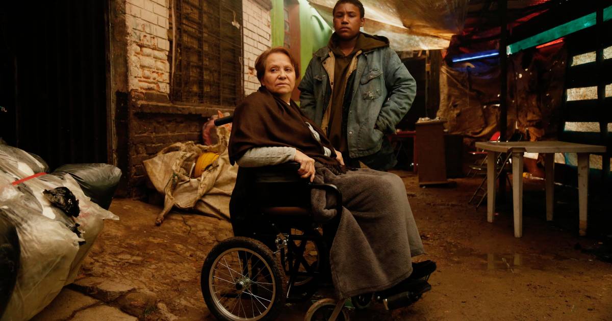 Volar: Adriana Barraza y el cine que dignifica a los invisibles