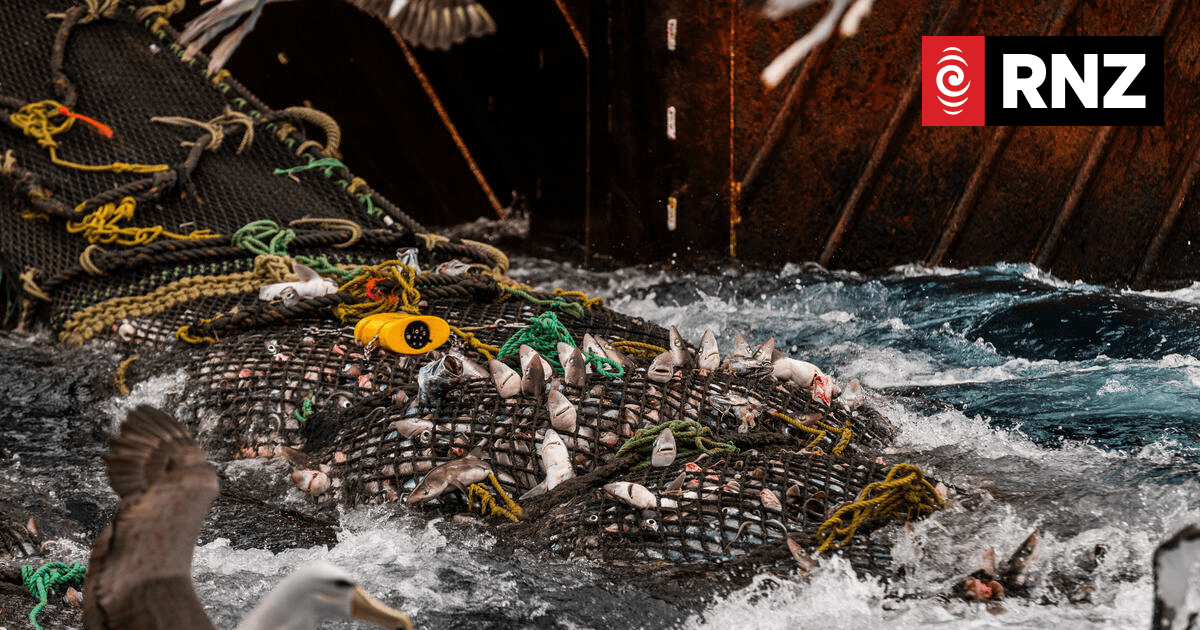 NZ Minister Defends Deep Sea Fishing Against Green Pressure