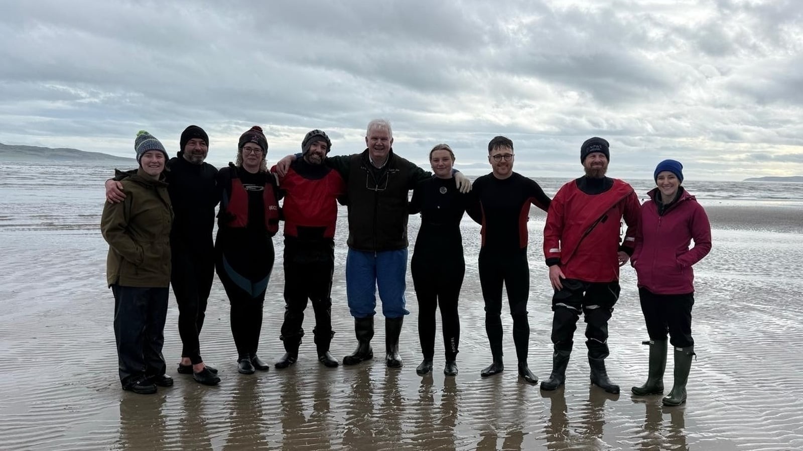 Dolphins on Irish shores: what Dublin Zoo's vet wants you to know