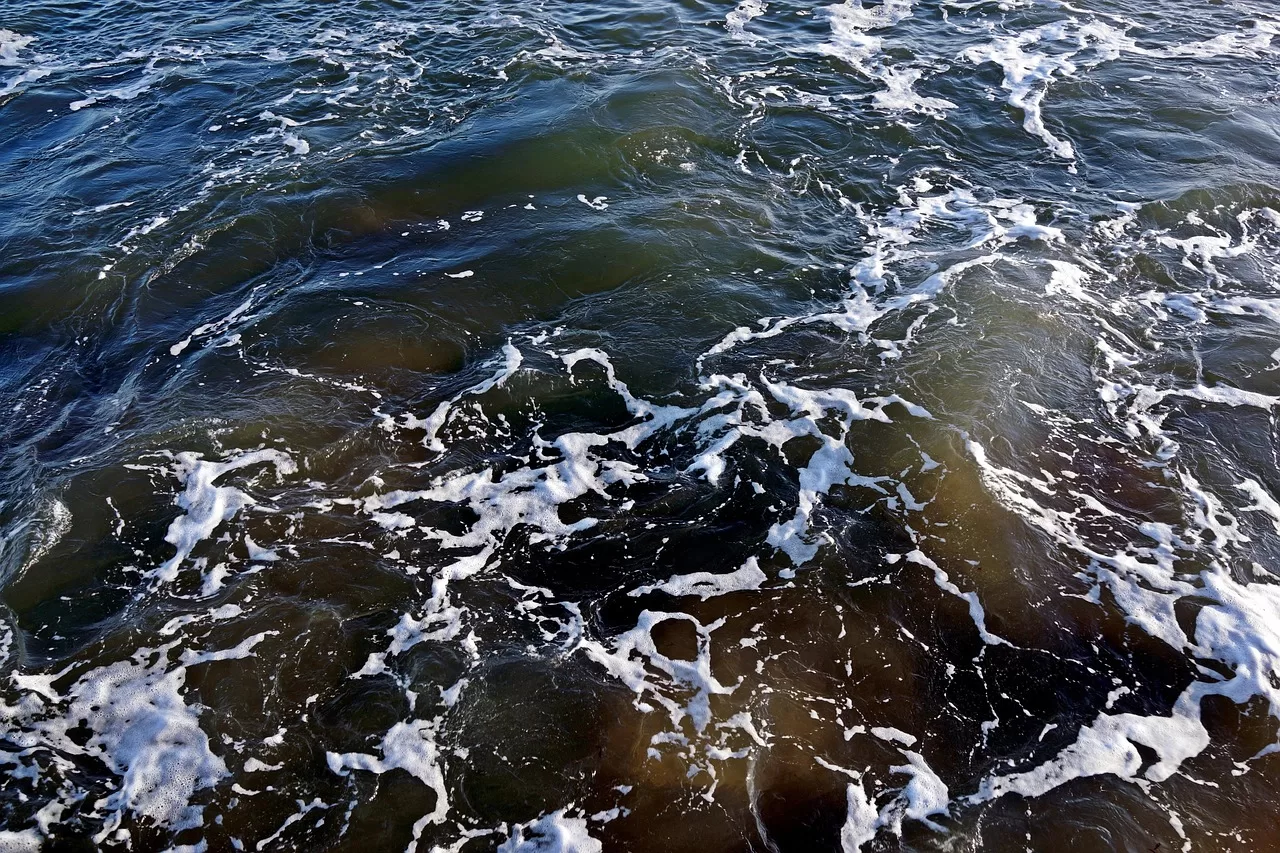 Governo restringe pesca no Tejo: pescadores locais sentem o aperto