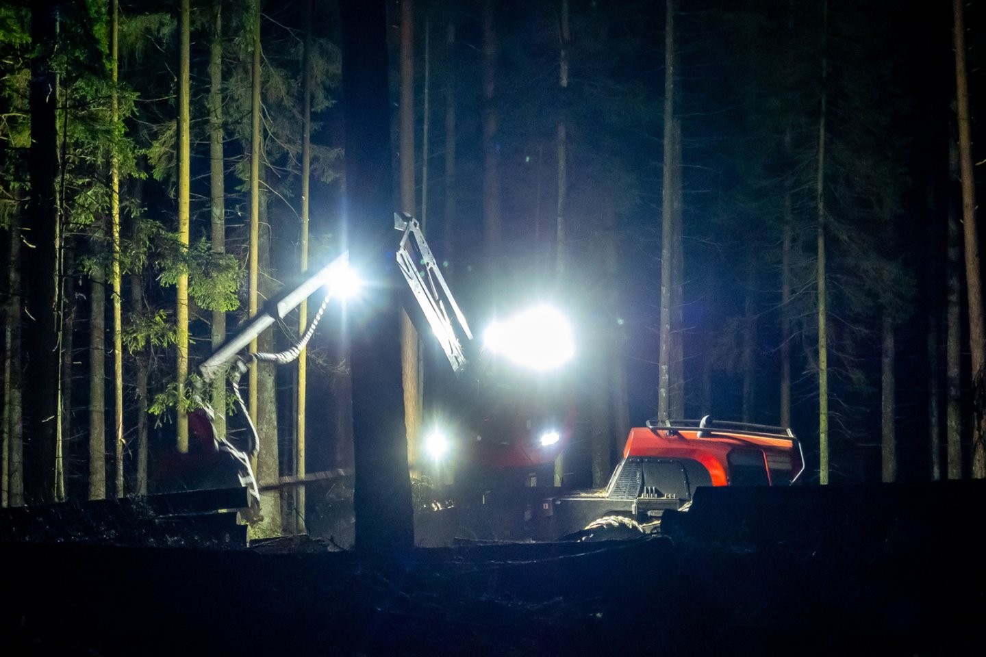 9 mln. eurų užstatas: ar valstybinė urėdija bando nutildyti aplinkosaugininkus?
