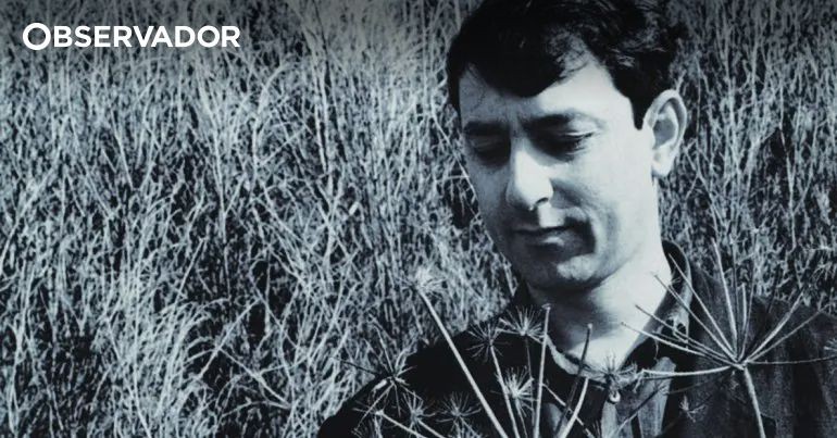 Jorge Palma e o disco que nasceu da falta de dinheiro: a história de «Só»
