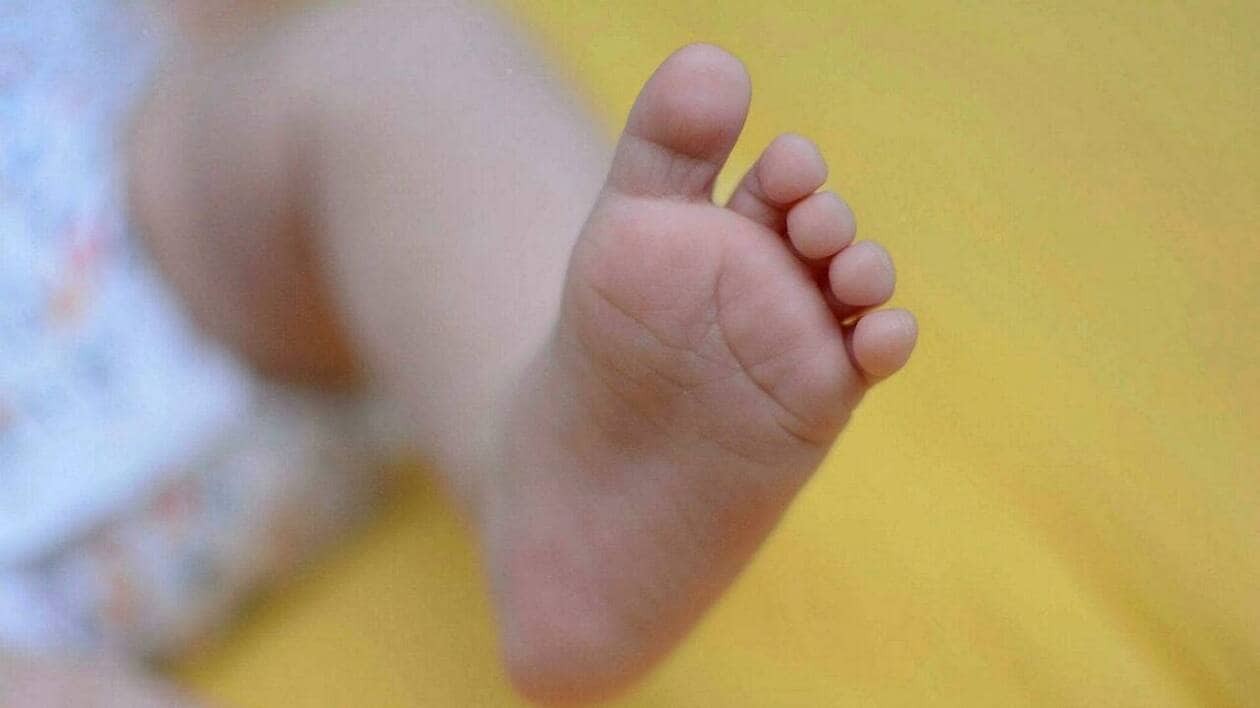 Congé de naissance 2026: une avancée sociale à faire fleurir