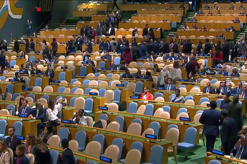 Egypt's Voice at the UN: A Diplomatic Victory for Sovereignty and Peace