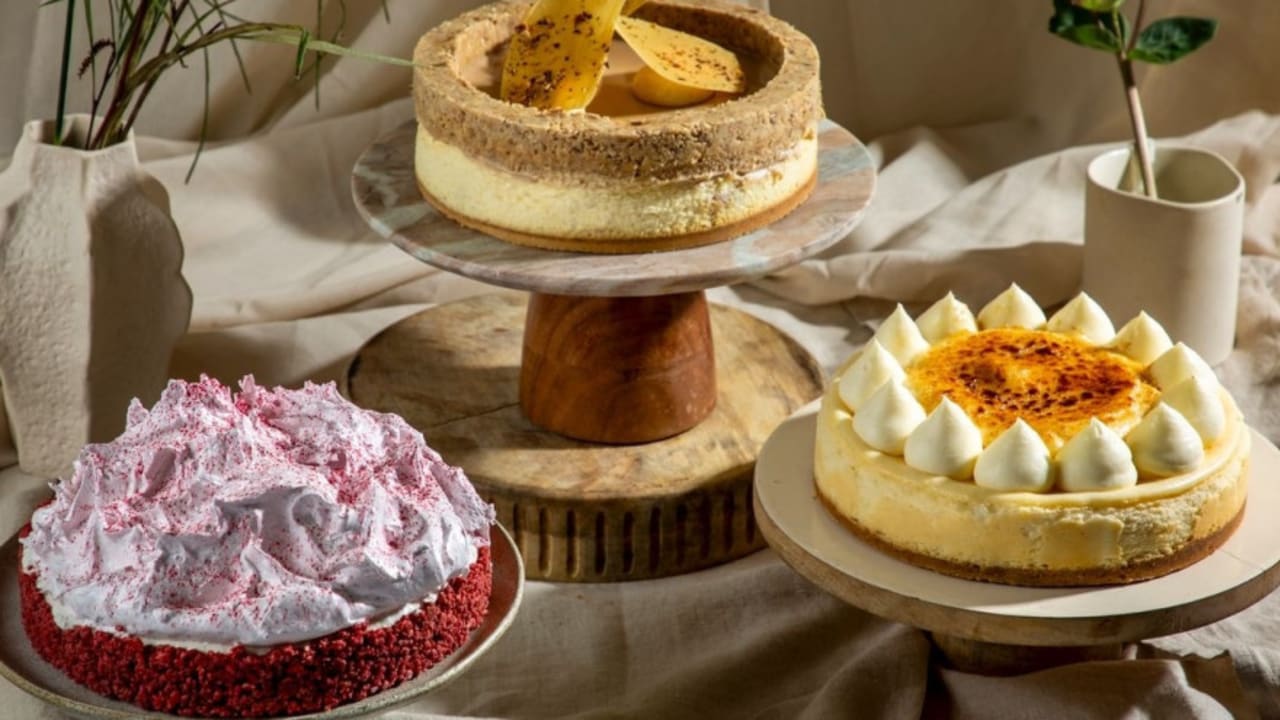 Land of Milk and Honey: Top Shavuot Collections in Israel