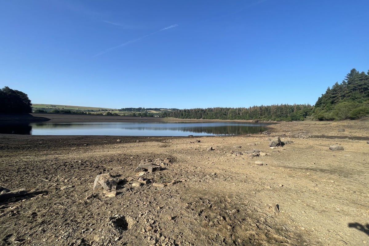 Water Scarcity Exposes Britain's Climate Vulnerability