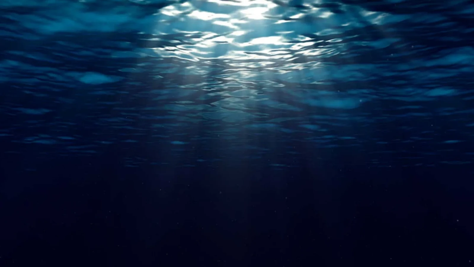 Descoperire rară în Atlantic: Oază de viață în bezna oceanului