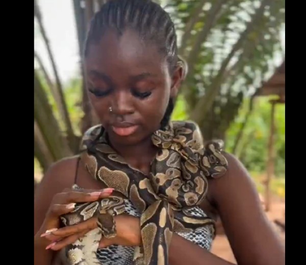Meet the 'Snake Girl': How Taiwo Okikiola is turning fear into a business of saving lives