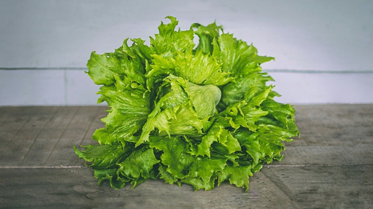 ¡Falsa alarma! La FDA se retracta: la lechuga mexicana no causa 'diarrea explosiva', pero el retiro sigue