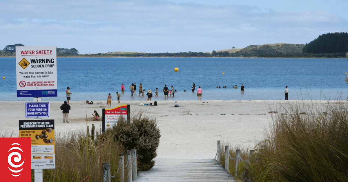 Heroic Rescue at Kai Iwi Lakes Highlights Water Safety