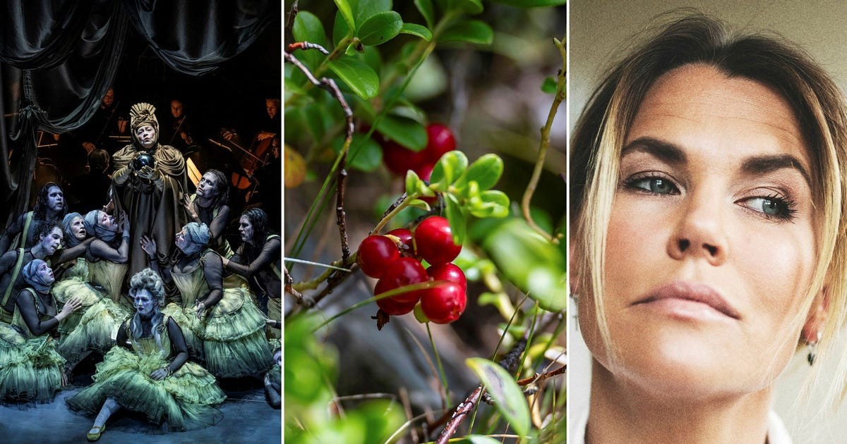 Kulturhösten 2026: Operapremiärer, poesimässa och utställningar i Stockholm