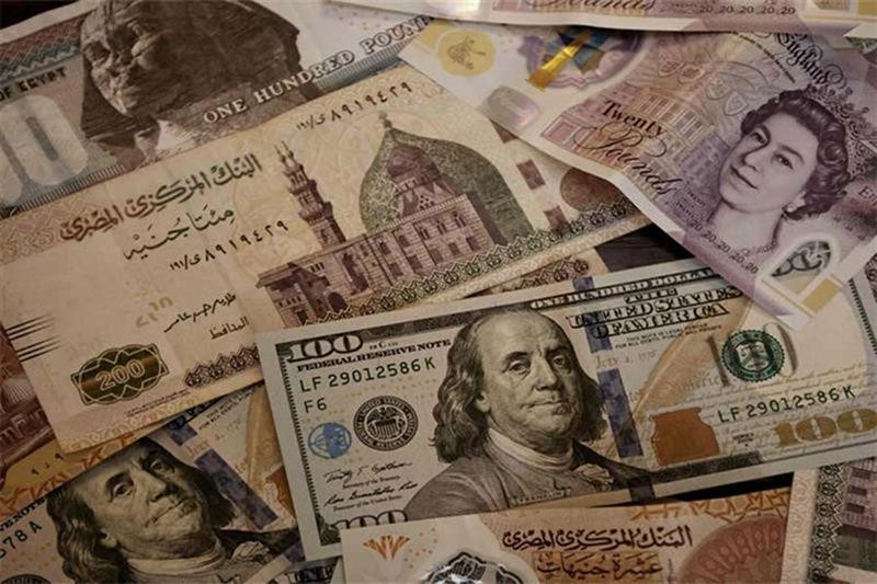 Egypt's Pound Proves Its Resilience: A Week of Strength Amid Global Shifts