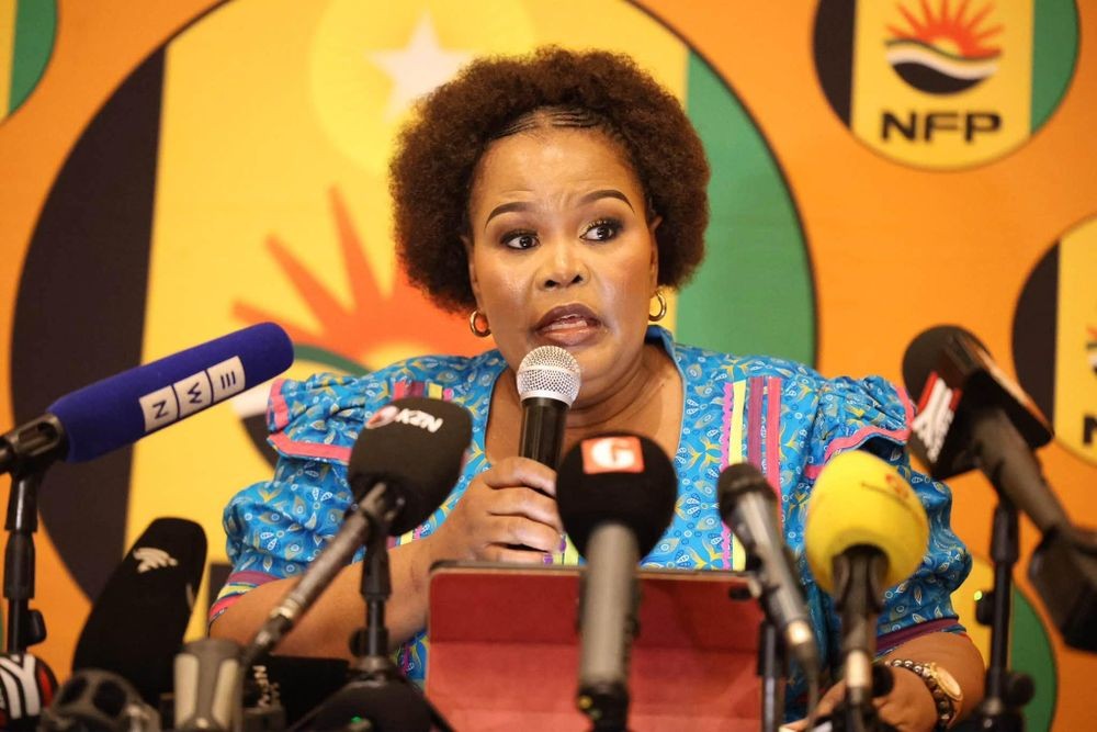 NFP's Shinga Fights Back: KZN Seat Battle Exposes the Real Stakes of Power