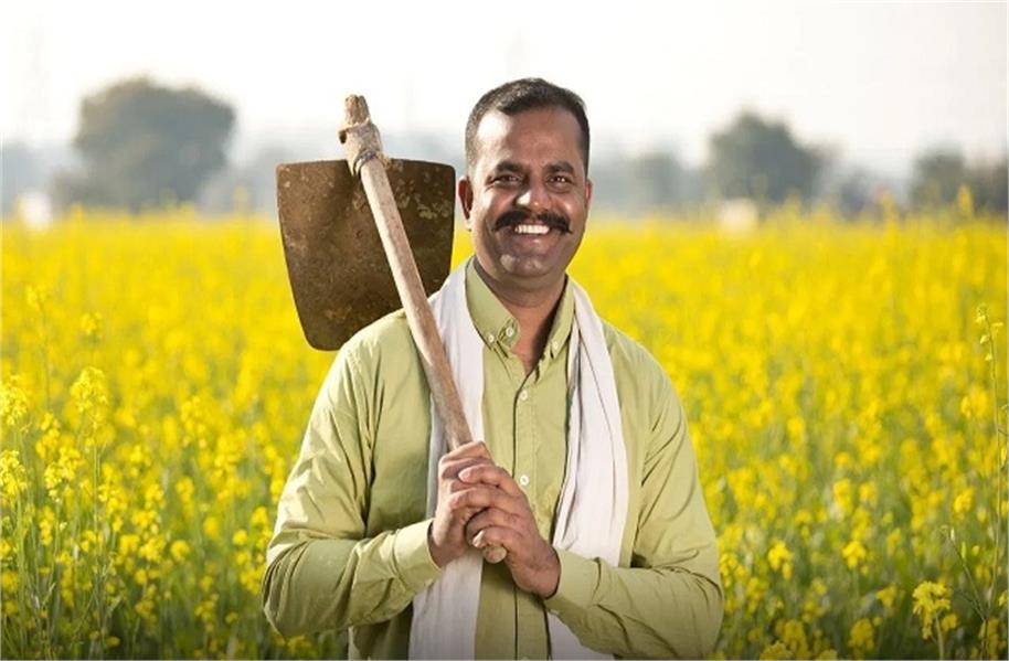 हरियाणा में 402 करोड़ की सौर सिंचाई योजना, 94 गांवों को लाभ