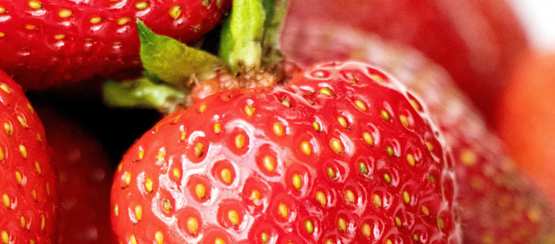 Jardinage populaire : cultiver sa souveraineté alimentaire