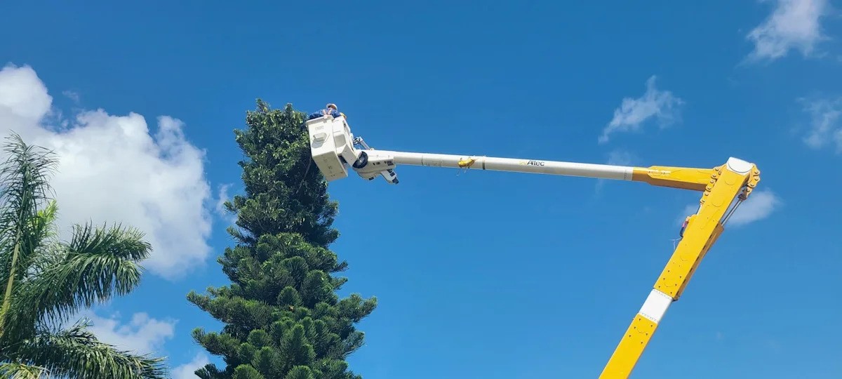 How a Community Team Saved an Entangled Osprey