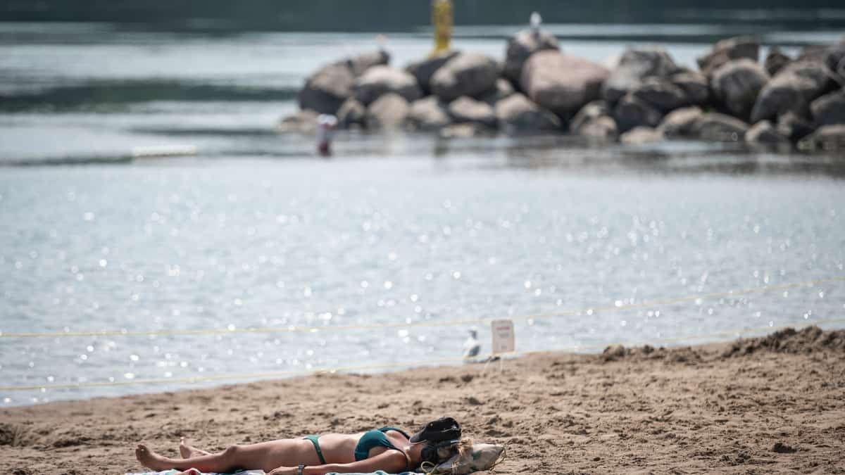 Canicules en France: près de 8000 morts, un été qui sonne l'alarme