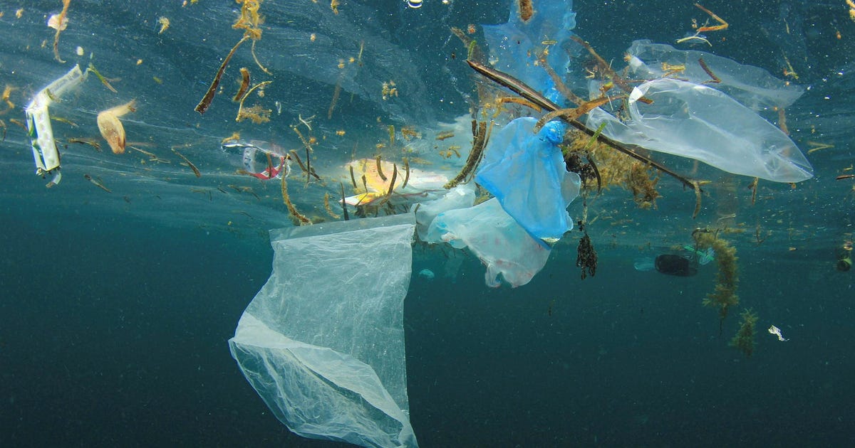 Forskardebatt om plastmätningar i människokroppen intensifieras