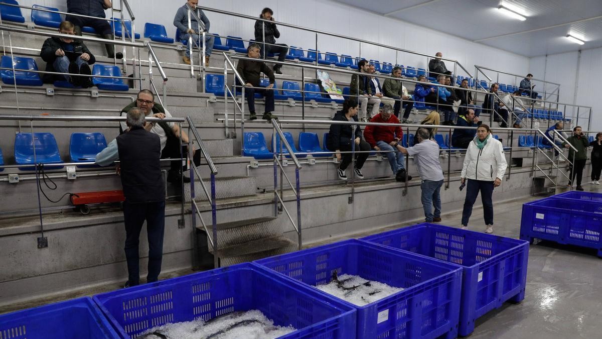 La rula de Gijón concentra el 54% de la facturación pesquera de Asturias y marca récords en bonito