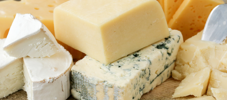 Sécheresse en Europe : le comté change de couleur, les éleveurs jurassiens tirent la sonnette d'alarme