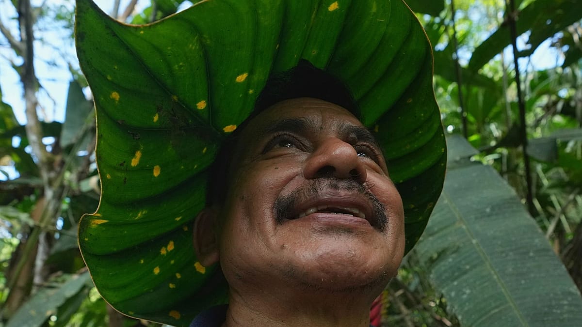 Amazonie : des gardiens français défendent la biodiversité