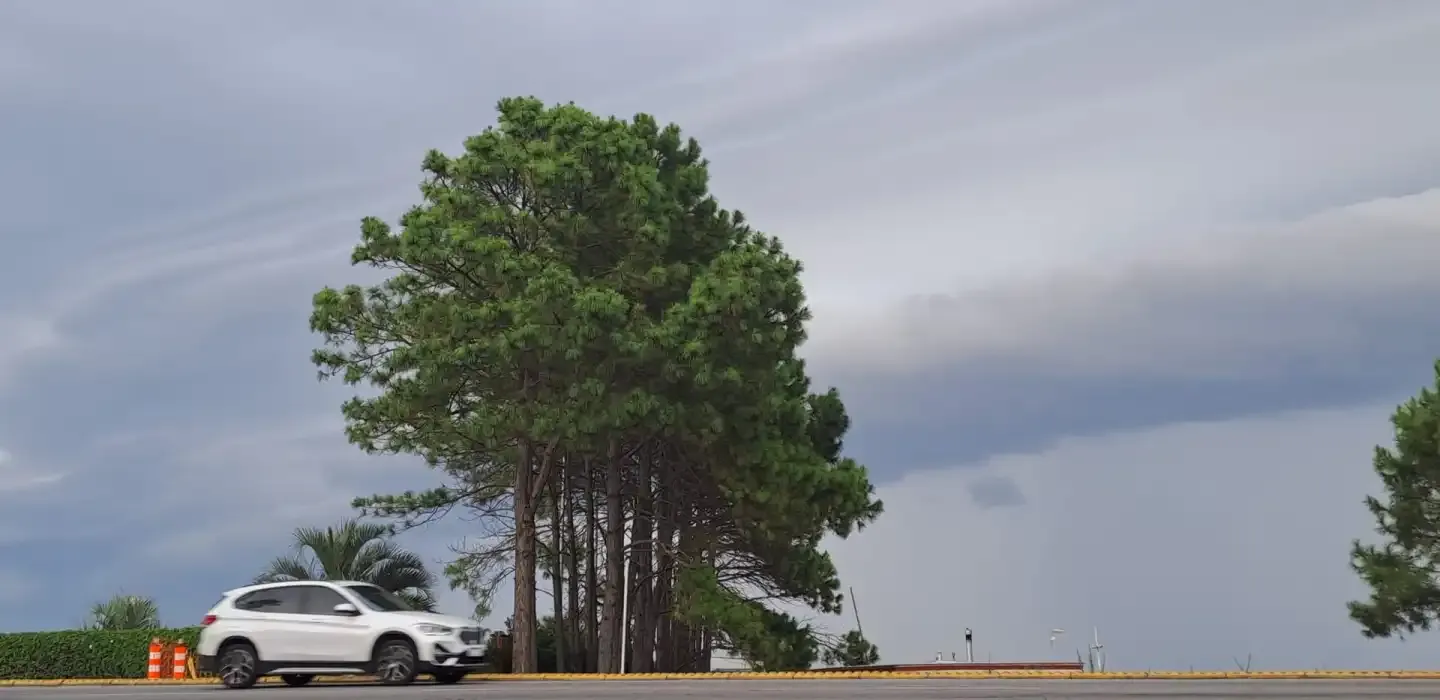 Inumet: frío intenso y heladas en Uruguay para este 1 de julio