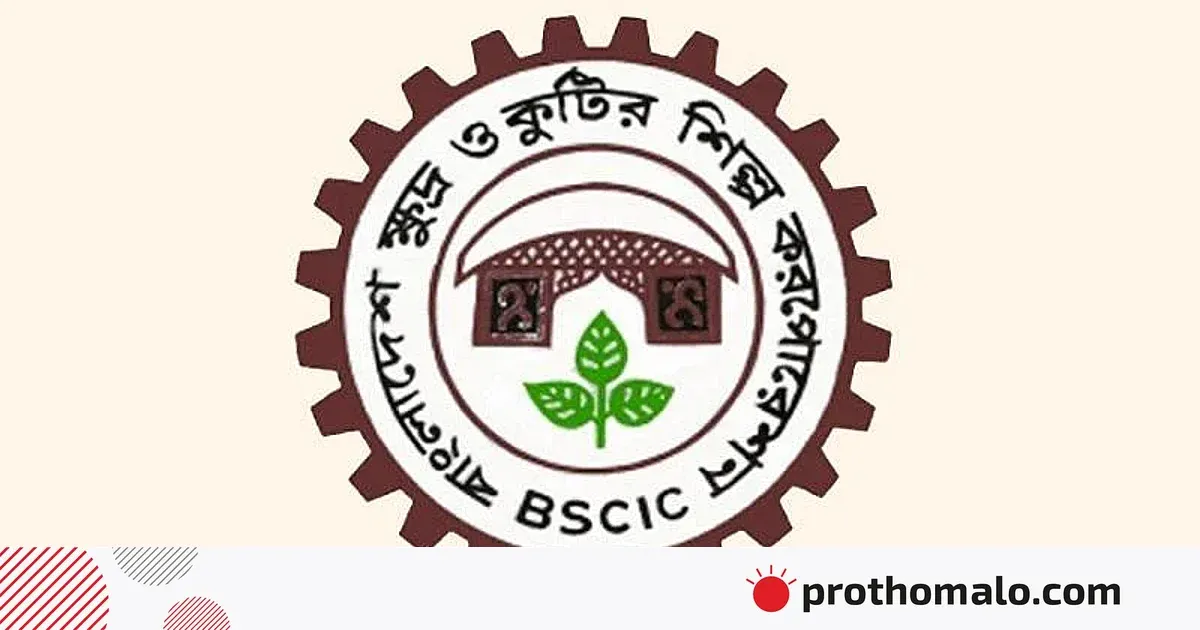 বিসিক থেকে ২০ লাখ টাকা পর্যন্ত ঋণ: স্বাধীনতার চেতনায় গড়ে তুলুন নিজের শিল্প