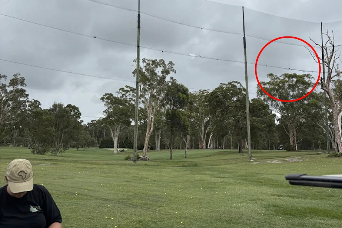 Golf Club's Nets Kill Dozens of Flying Foxes in Queensland