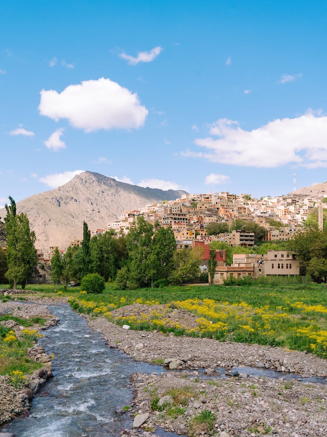 Best Atlas Mountains Day Trips from Marrakech | Complete Travel Guide