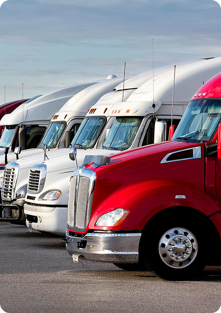 Trucks lined up for transport operations