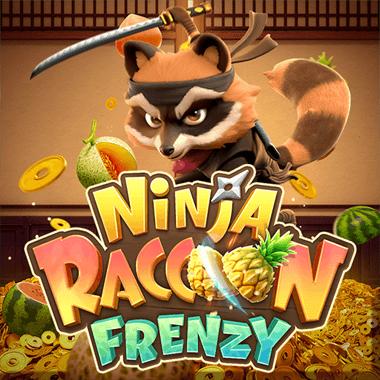 Ninja Racoon Frenzy