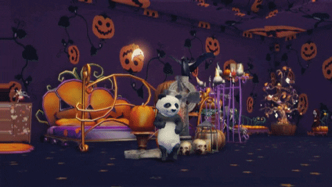 giphy.gif