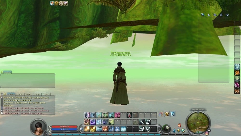 Aion0171.thumb.jpg.41010615953fc2bd3eff03b9ff5d8cad.jpg