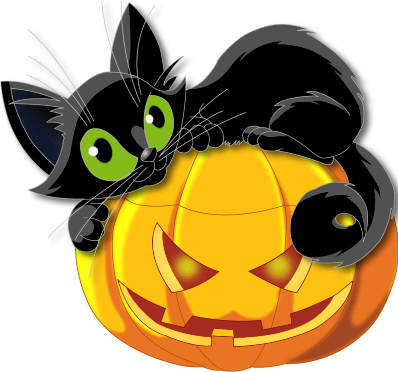 image.thumb.png.ce1f679fd18e8f0fe44c609f199f6eb6.png