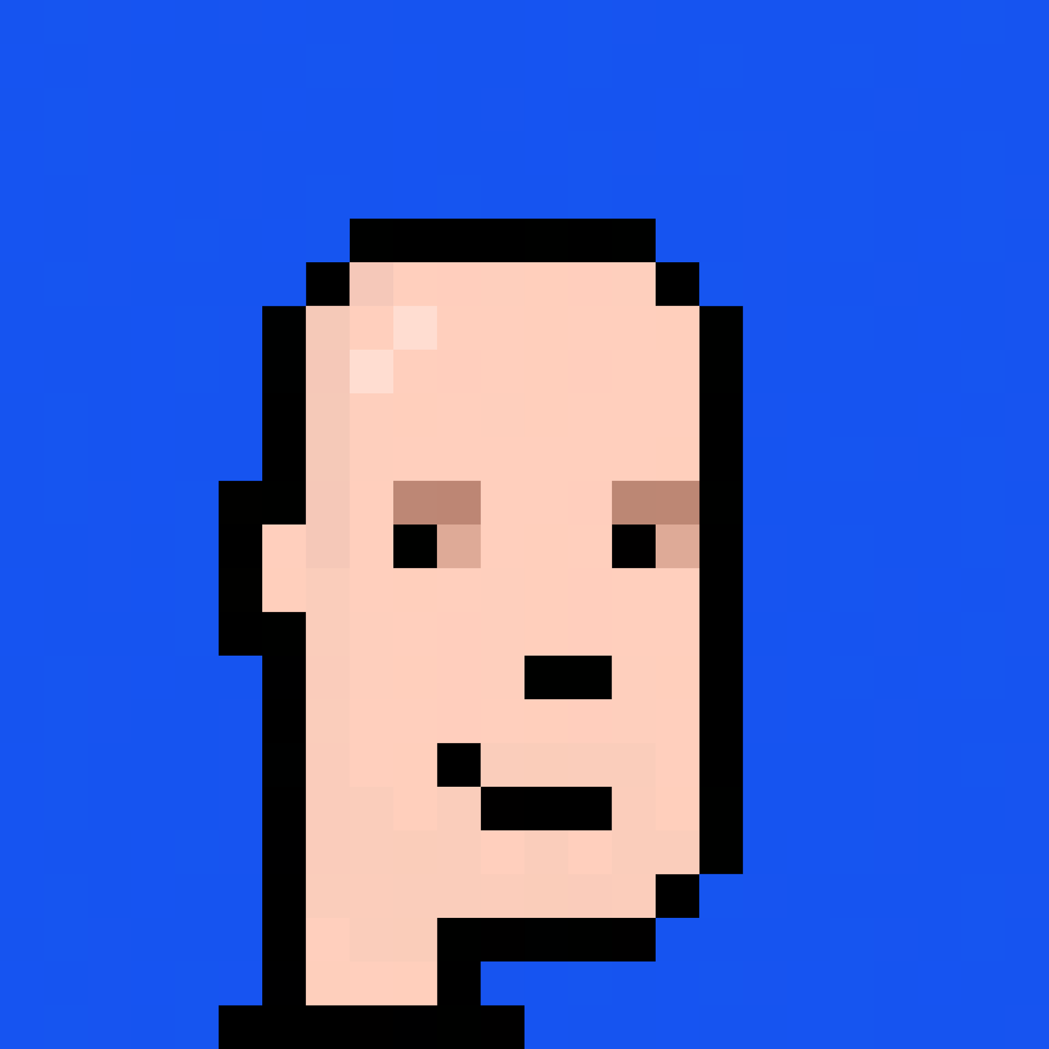 bald logo