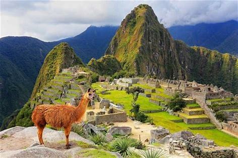 Imagen de MACHU PICHU EN GRUPO
