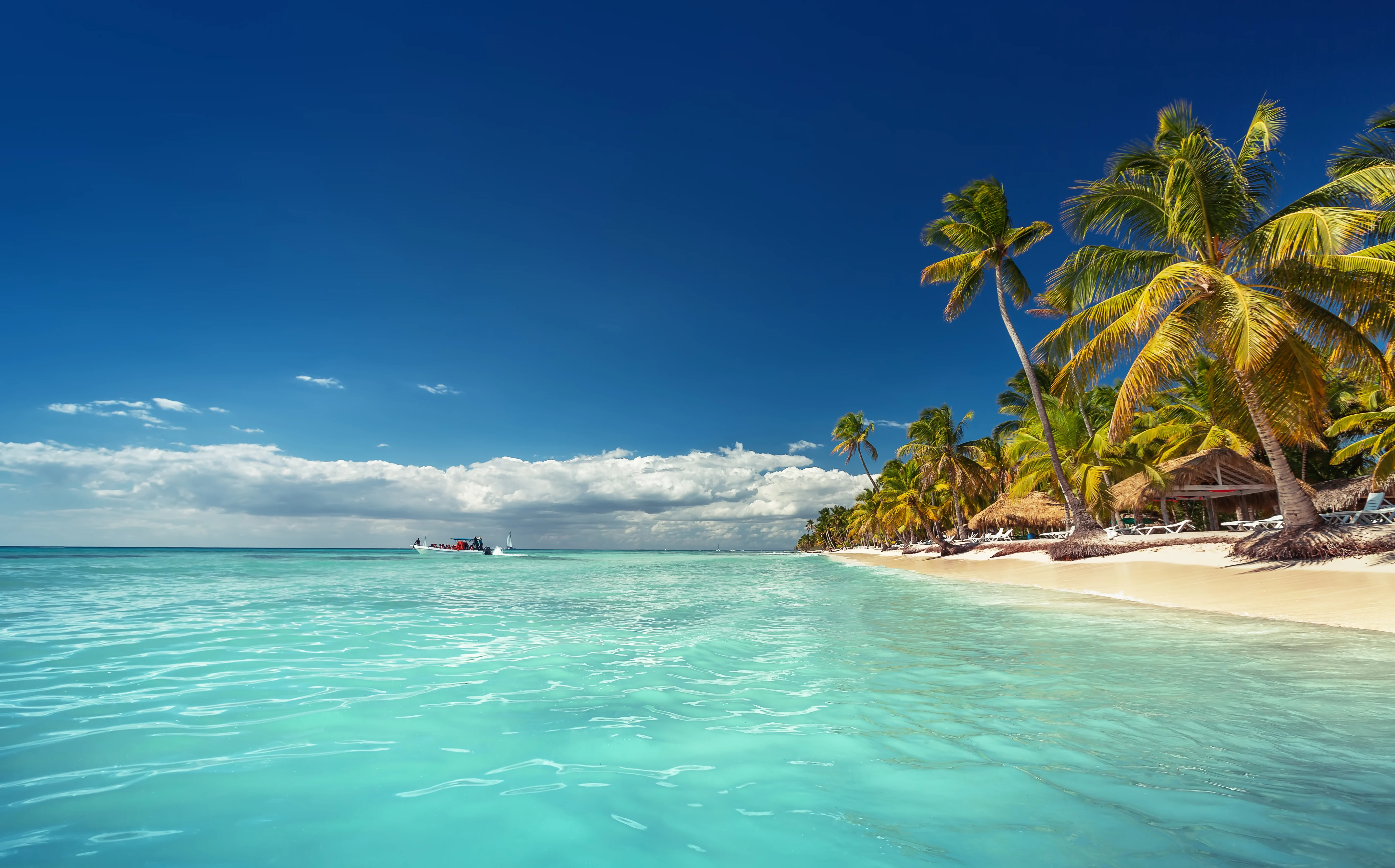 Imagen de PUNTA CANA TEMPORADA BAJA